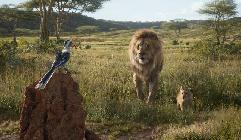 Szenenbild aus THE LION KING (2019) - Zazu, Mufasa und Simba - © Disney 