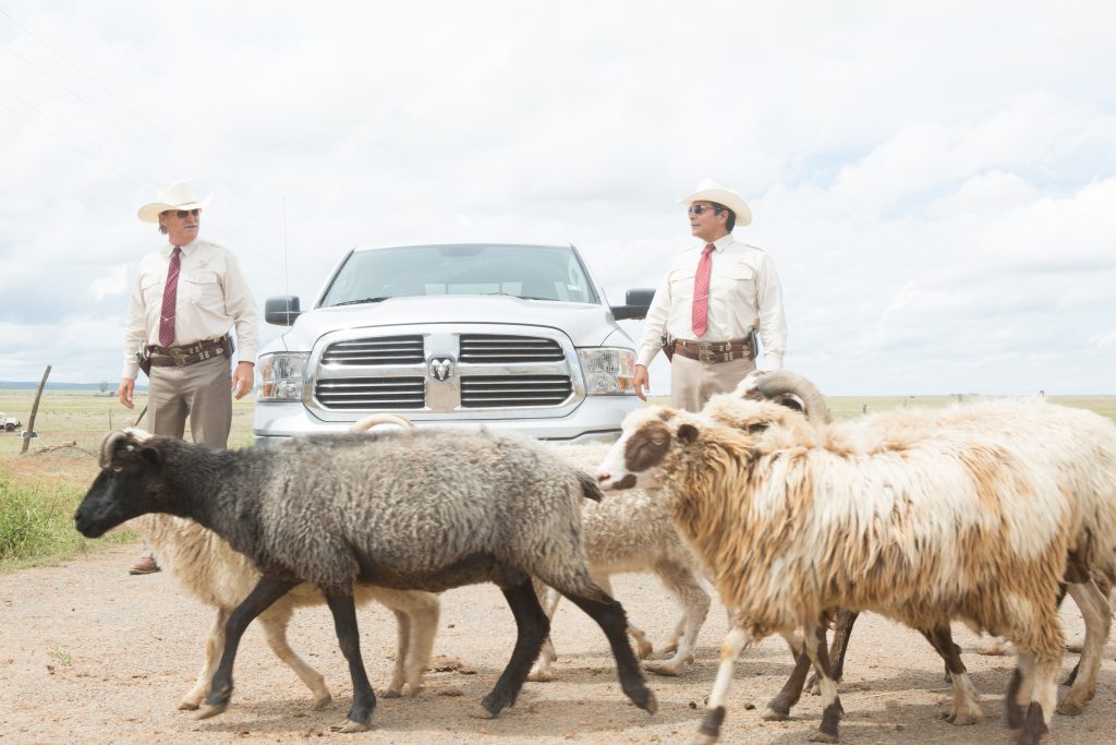 Filmstill aus Hell or High Water, Jeff Bridges und Gil Birmingham kämpfen sich durch - © Paramount Pictures Germany