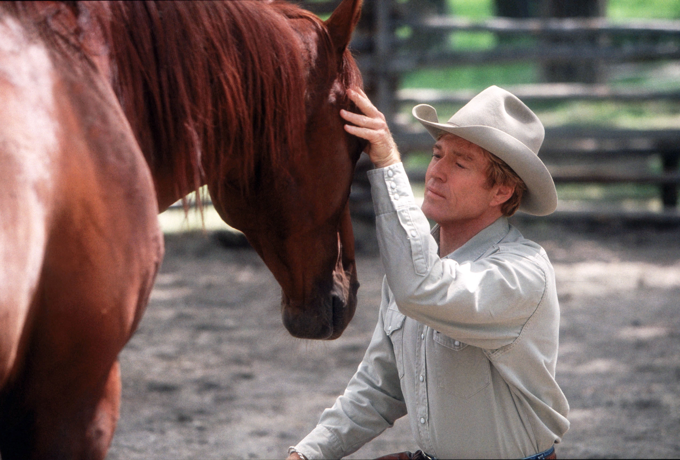 Szenenbild aus DER PFERDEFLÜSTERER (1998) - THE HORSE WHISPERER - Tom Booker (Robert Redford) - © Disney