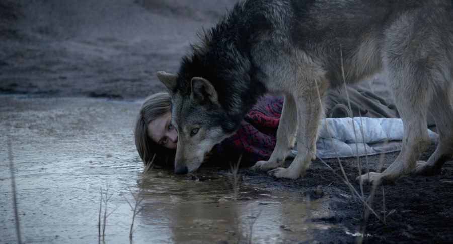 Szenenbild aus WILD (2016) - Ania (Lilith Stangenberg) und der Wolf - © NFP