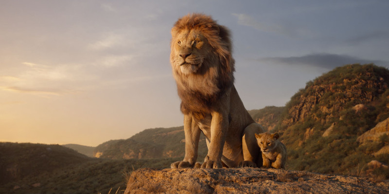 Szenenbild aus THE LION KING (2019) - Regie von Jon Favreau - © Disney