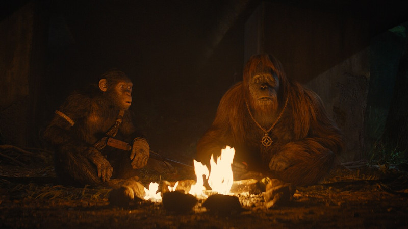 Szenenbild aus KINGDOM OF THE PLANET OF THE APES - Noa (Owen Teague) trifft auf seiner Reise den Orang-Utan Raka (Peter Macon) - © 20th Century Fox